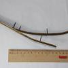 PRODUCT_GALLERY_IMAGE_ALT